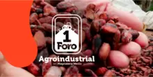 Primer Foro Agroindustrial 