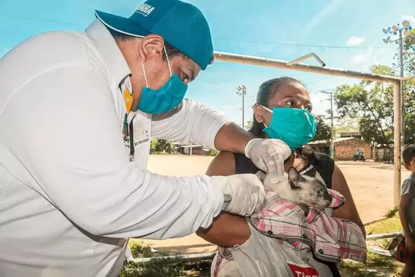 Continuamos nuestra campaña de vacunación antirrábica para perros y gatos! Jornada en comuna 7 dejó más de 600 beneficiados