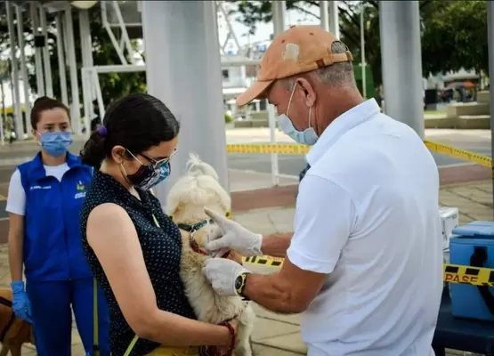 ¡La rabia humana es una enfermedad mortal, vacune a su mascota! En Barrancabermeja, cerca de 10 mil mascotas han recibido la vacuna antirrábica