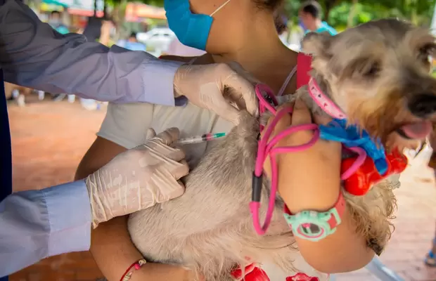 ¡Propietarios de mascotas atendieron nuestro llamado por una tenencia segura! 40 mascotas censadas y 150 más vacunadas en el Parque a la Vida